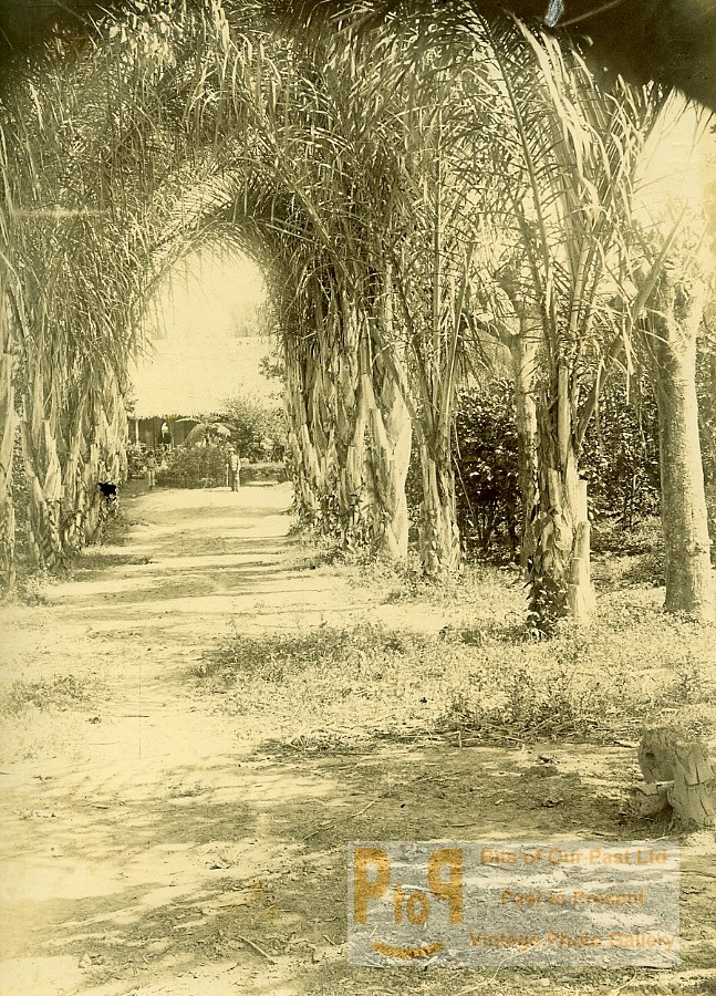 Cautam femeie Antananarivo.