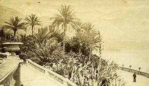 Monte Carlo Casino Gardens France Old Photo 1890