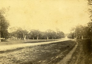 Landscape Fontainebleau France Old Photo 1865