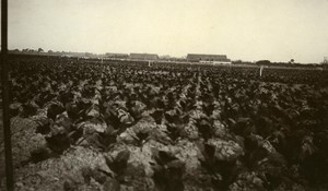 Indonesia Sumatra East Coast Tobacco Estate Old Photo 1930