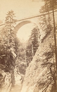 Grande Chartreuse St Bruno Bridge Alps CDV Photo 1865