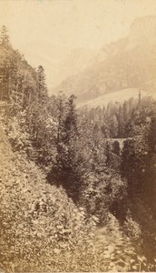 Grande Chartreuse St Pierre Bridge Alps CDV Photo 1865