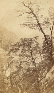 Grande Chartreuse St Bruno Bridge Alps CDV Photo 1865