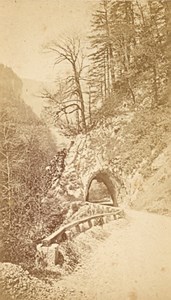 Way to Grande Chartreuse Alps Old CDV Photo 1865