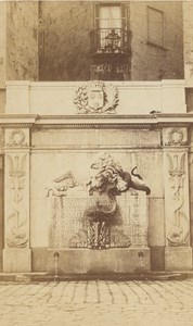 Grenoble Lion Fountain Isere Old CDV Photo 1870