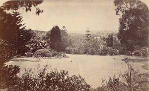 Melbourne Botanical Garden Australia old CDV Nettleton Photo 1870