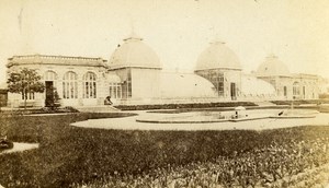 France Rennes Garden Plants Greenhouse old CDV Photo Vagneur 1870