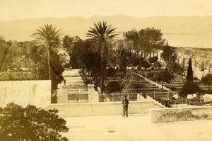 France Saint Mandrier Botanical Garden Old CDV Photo 1870