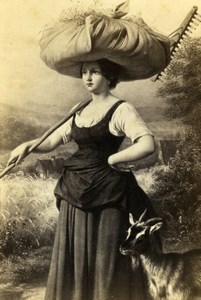Germany Reaper Girl with goat by Meyerheim Schauer CDV Photo of Painting 1865