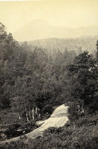 Scotland Ecosse in the Pass of the Trossachs Old CDV Photo GW Wilson 1865