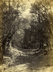 England Clifton in the Nightingale Valley Old CDV Photo Bedford 1865