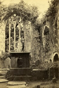 Ireland Killarney Muckross Abbey Ruins Old CDV Photo 1865