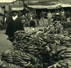 South America Ecuador Market Scene Bananas Old Photo Beauvais 1965