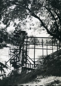 Cambodia Angkor Wat Vat Archaeological Site Old Amateur Snapshot Photo 1934