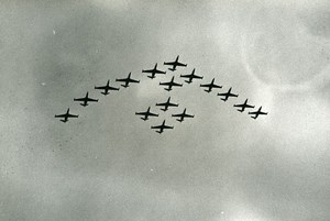 Military Fighter Aircraft Fouga Magister Squadron Aviation Old Photo 1960