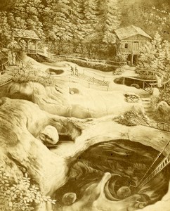 Switzerland Lucerne Luzern Glacier garden Old Photo of Gravure? CDV Greber 1870'