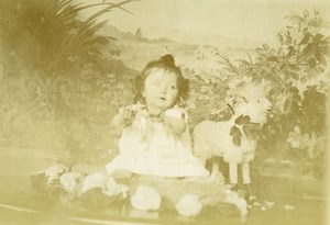 France Agneau en Peluche Jeu d'Enfants Fillette Ancienne Photo Amateur 1900