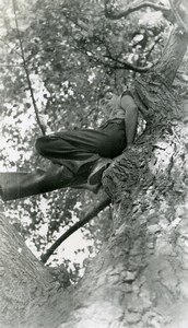 France La Pannerie portrait study Child in a Tree Old Photo Capin 1934