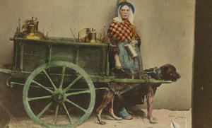 Belgium? Milk woman seller dog cart Old CDV Photo 1870