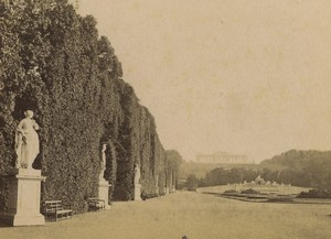 Austria Schoenbrunn Palace Garden Statues Old CDV Photo Kramer 1870's