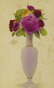 Czech Republic Rosa Centifolia Botany Old CDV Photo Fridrich 1870