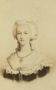 789 Portrait Of Queen Marie Antoinette With A Rose Stock Photos, High