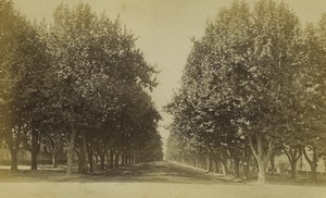 France Marseille the Prado garden Old Photo 1875