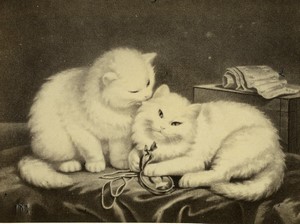 France Painting Two white? Cats Old CDV photo Dusacq 1870