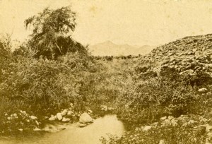 Palestine Fountain of Jericho Small Old Albumen Photo 1870's