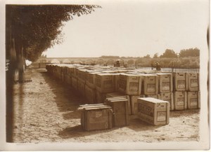 Early Aviation Airplane Petrol Reserve old Photo 1913