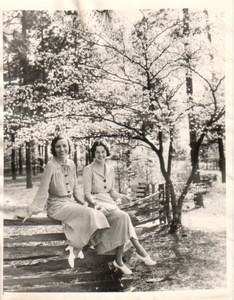 Lady Sitting On Fence Blooming Dogwood Tree Photo 1934