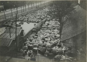 France Paris Inondations de 1910 Floods Seine River Wine Barrels Old Photo