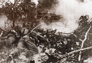 WWII German Soldiers Crawl Forest Tank WW2 Photo 1941