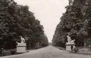 Dresden Castle Garden Statue Antique Collotype Photo
