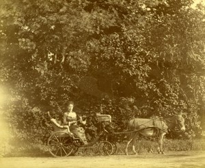 France Donkey carriage Elegant lady sitting old Photo 1870