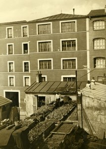 Roof Garden in Paris house Rooftop Farming old Press Photo 1930