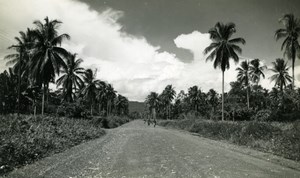 New Guinea Palm trees road and people Clouds old Photo 1940