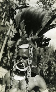 Native Man with feather head-dress New Guinea old Photo