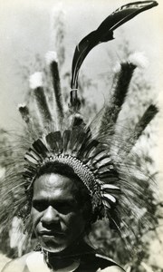 Native Man with feather head-dress New Guinea old Photo