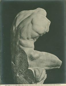 Roma Museo Vaticano Belvedere old Alinari Photo 1900