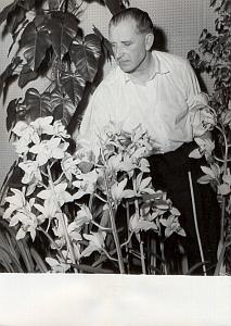 Rare Orchid Flower London Florist Paris old Photo 1959