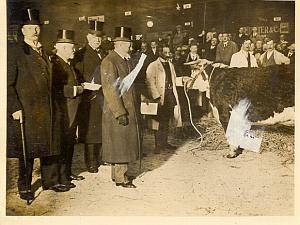 King George at Smithfield Cattle Show old Photo 1930