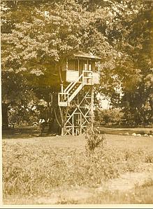Unusual Honeymoon Bungalow in Tree Ontario Photo 1930