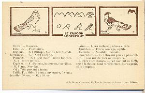 1930' Scouting Boy Scouts Scout PC, Falcon, Coze P.