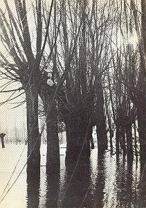 1980' Scouting boy, Scouts, Scout, PC Nackaerts