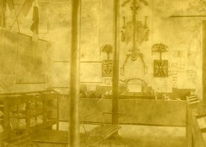 Exhibit Geographic French Society Skeleton Photo 1890