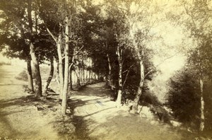 Spa, Mountain Path Forest, old Photo CC 1890'