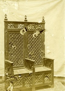 Photo Lab Accident Poor Print Job Church Chair ? Old Photo 1900'