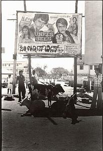 Cinema poster & cows India street scene old Photo 1970'