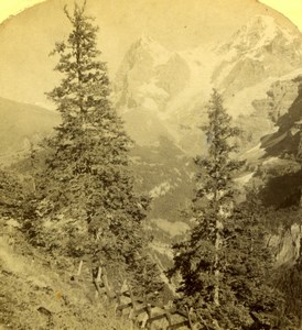 Switzerland Mürren Eiger Old Gabler stereoview Photo 1875